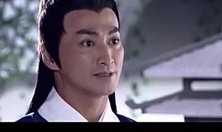 新包青天白龙驹 新包青天白龙驹