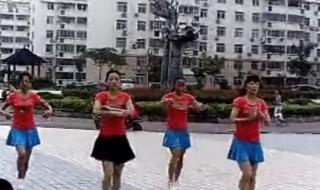 动动广场舞奢香夫人 动动广场舞奢香夫人