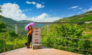 云南墨江县 云南墨江县