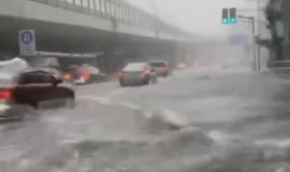 上海暴雨白天如黑夜 上海暴雨白天如黑夜