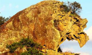 韶关马坝人遗址 韶关马坝人遗址